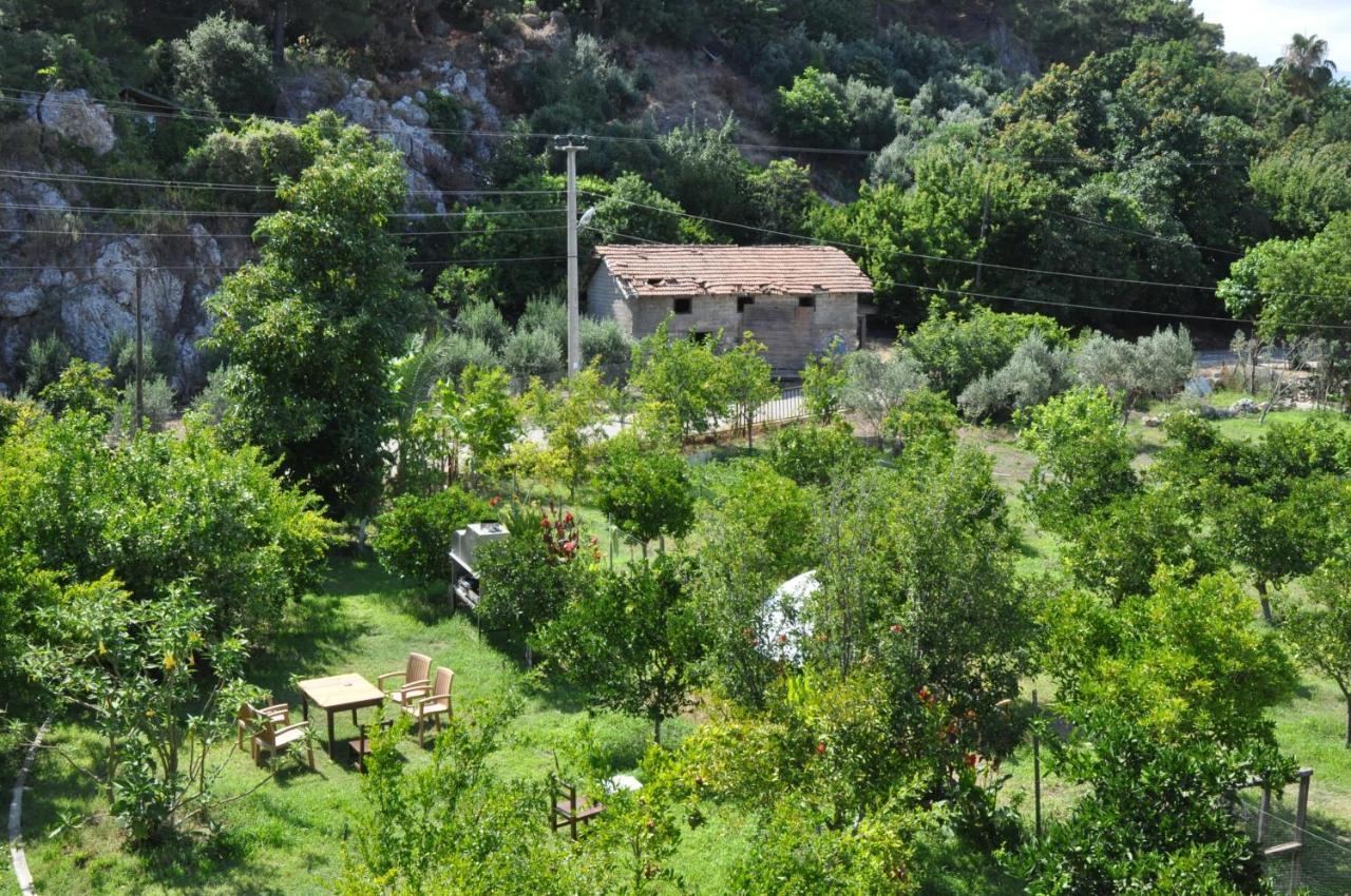 San Simon Hotel Çıralı Zewnętrze zdjęcie