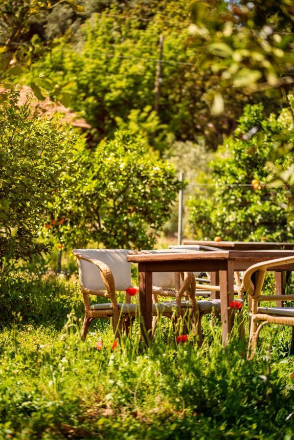 San Simon Hotel Çıralı Zewnętrze zdjęcie